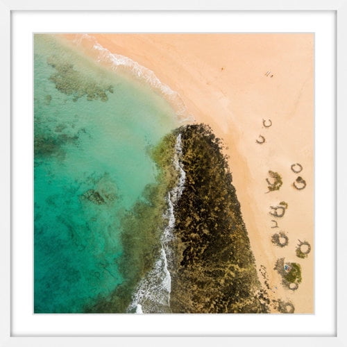 Marmont Hill "Seaweed Trails" by Karolis Janulis Framed Painting Print