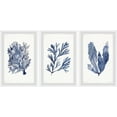 thumbnail image 1 of Marmont Hill Seaweed Under Water V Triptych, 18" x 36", 1 of 10