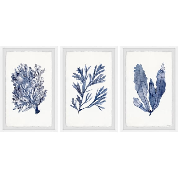 Marmont Hill Seaweed Under Water V Triptych