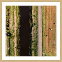 Marmont Hill "Secret Between The Rows" By Karolis Janulis Framed Painting Art Print, 12.0" x 1.5"