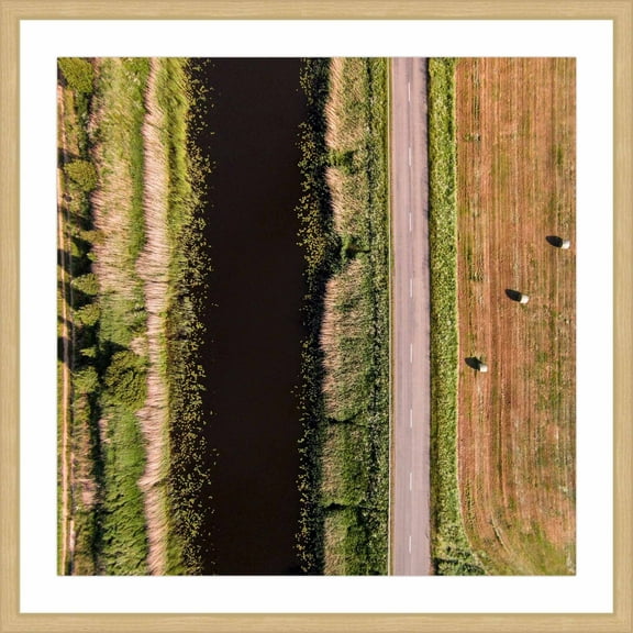 Marmont Hill "Secret Between The Rows" By Karolis Janulis Framed Painting Art Print, 12.0" x 1.5"