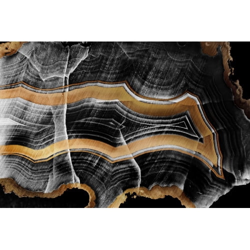 Marmont Hill - "Secret Shadows" Painting Print on Wrapped Canvas