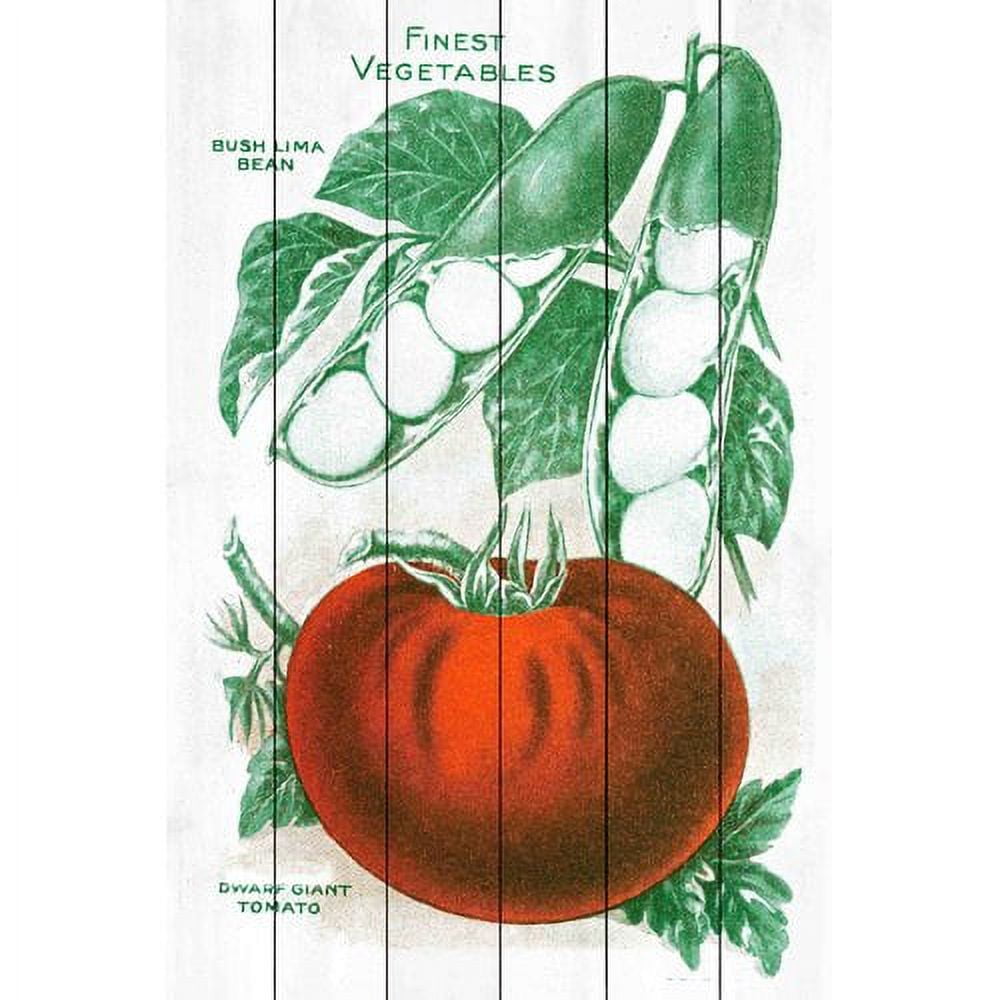 Marmont Hill "Seed Art 2-2" Painting Print on White Wood