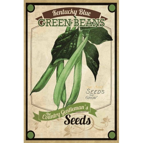 Marmont Hill "Seed Packet Green Beans" Painting Print on Canvas