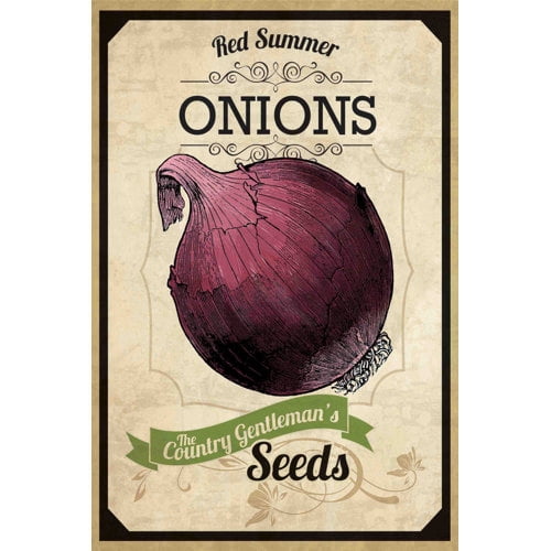 Marmont Hill "Seed Packet Onion" Painting Print on Canvas
