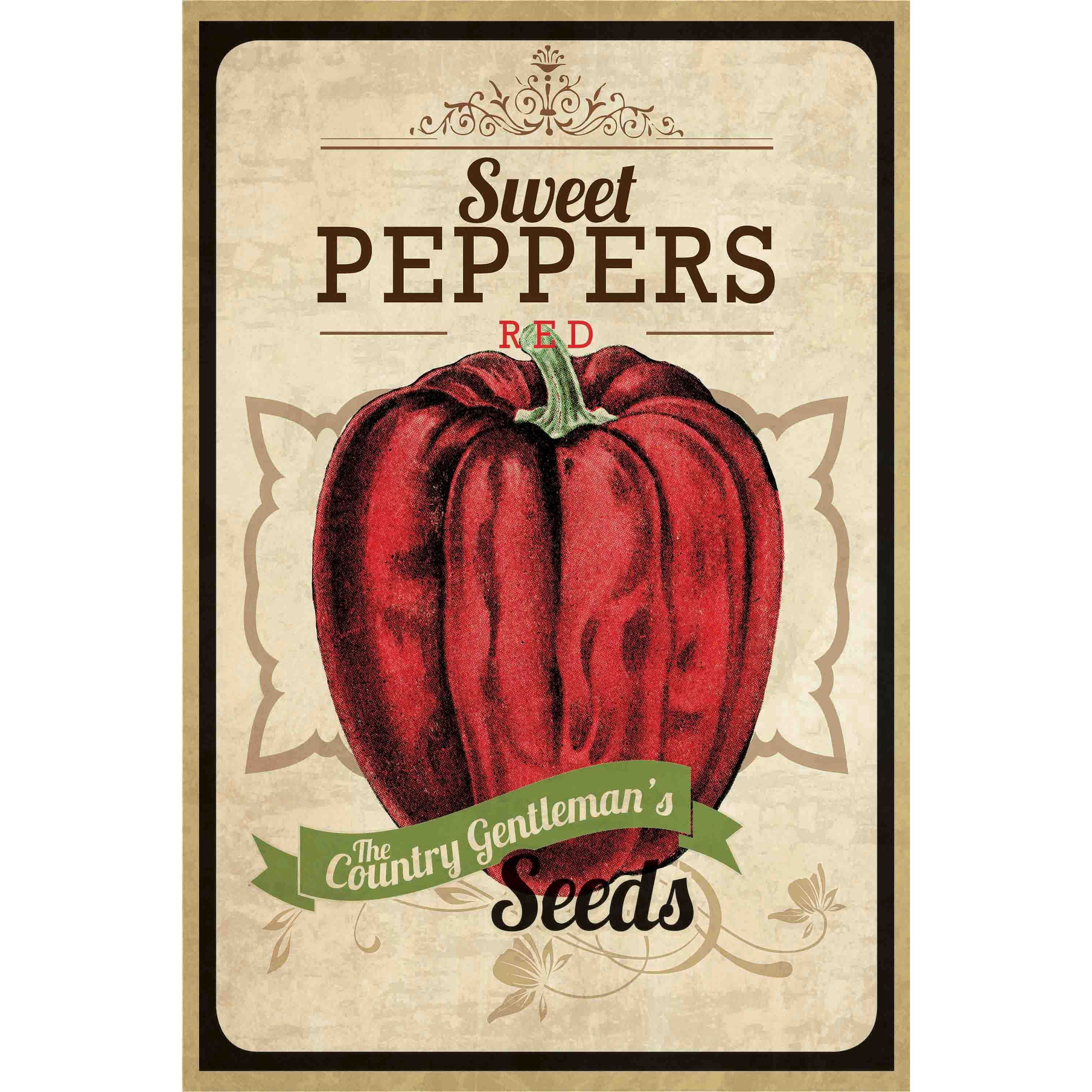 Marmont Hill "Seed Packet Pepper" Painting Print on Canvas