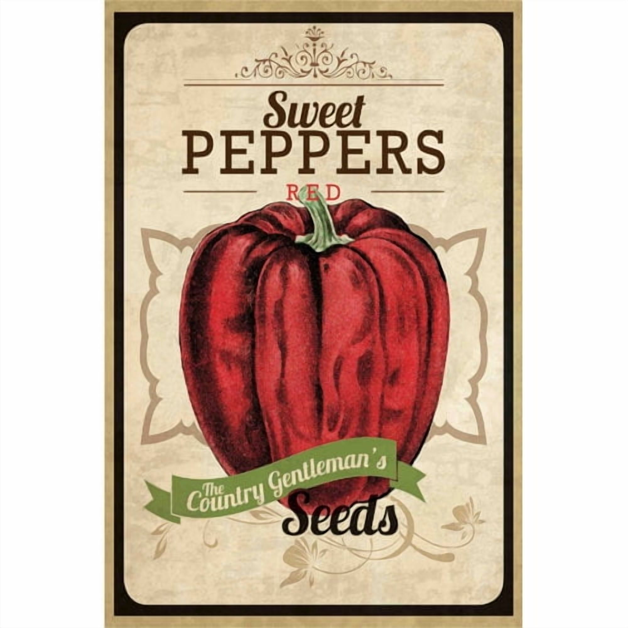 Marmont Hill "Seed Packet Pepper" Painting Print on Canvas