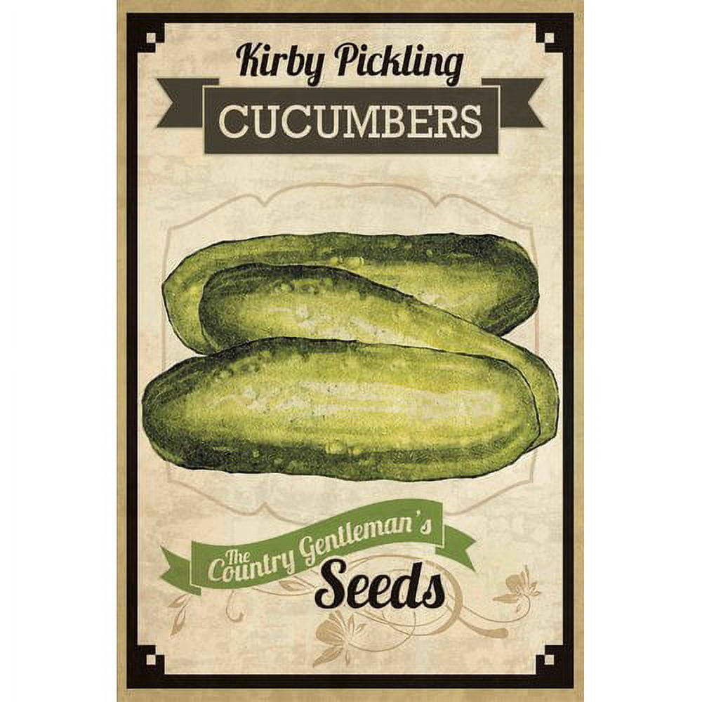 Marmont Hill "Seed Packet Pickle" Painting Print on Canvas