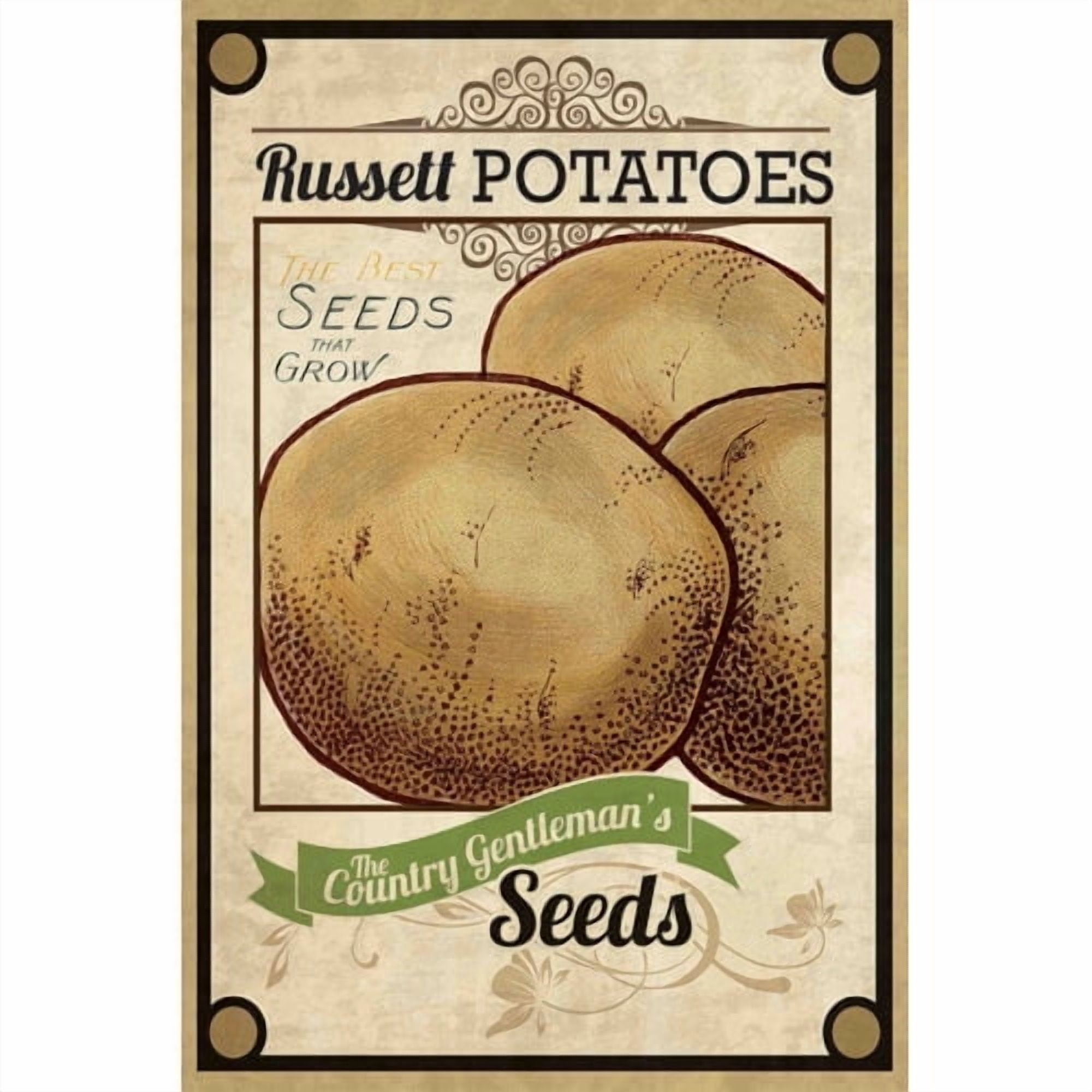 Marmont Hill "Seed Packet Potatoes" Painting Print on Canvas
