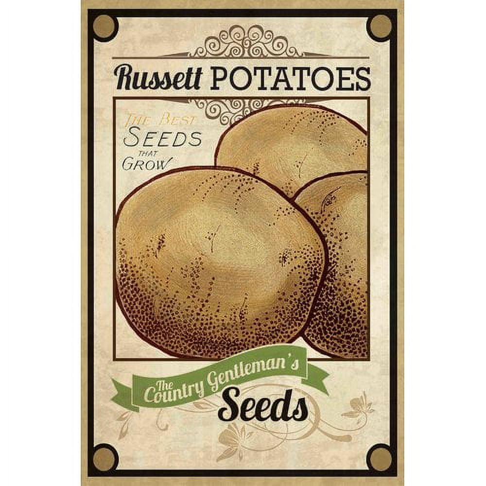 Marmont Hill 'Seed Packet Potatoes' Painting Print on Wrapped Canvas