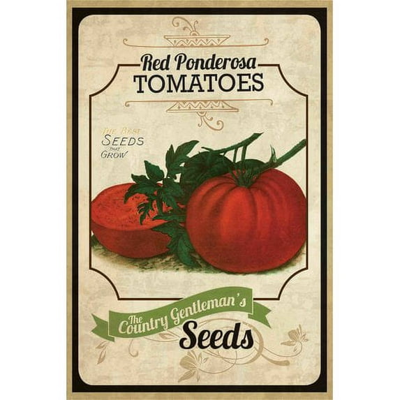 Marmont Hill "Seed Packet Tomato" Painting Print on Canvas