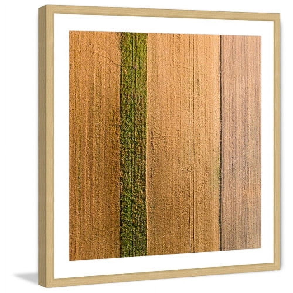 Marmont Hill "Seeded Land" by Karolis Janulis Framed Painting Print