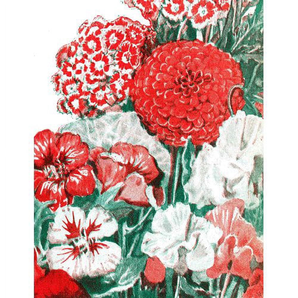Marmont Hill "Seeds Flowers 1" Painting Print on Canvas