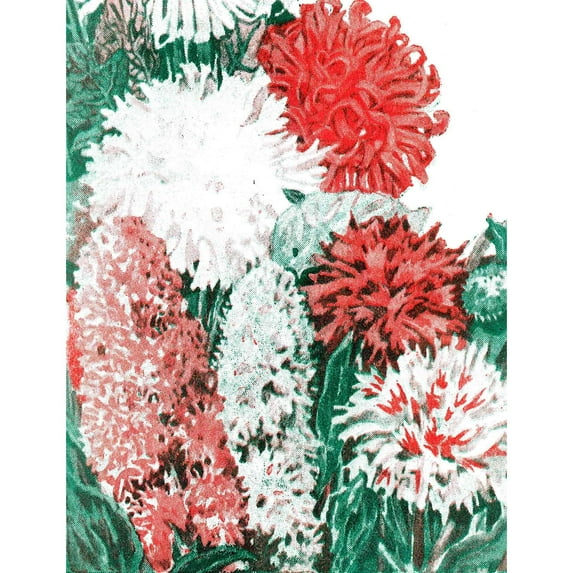 Marmont Hill "Seeds Flowers" Painting Print on Canvas