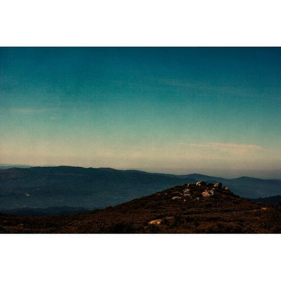 Marmont Hill "Serra" by Ingrid Beddoes Painting Print on Wrapped Canvas