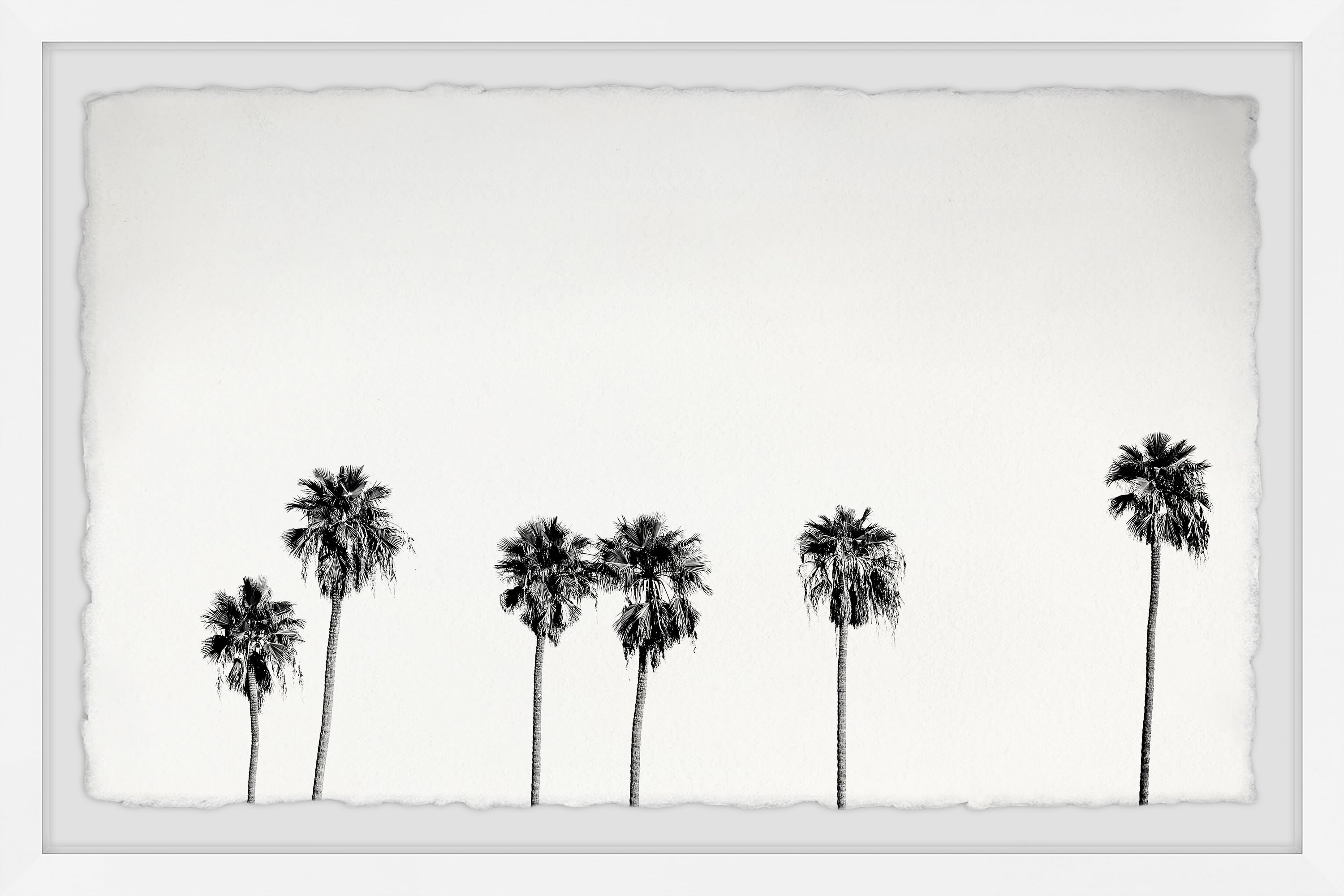 White Framed Landscape Palm Trees Nature Print, 30" x 45"