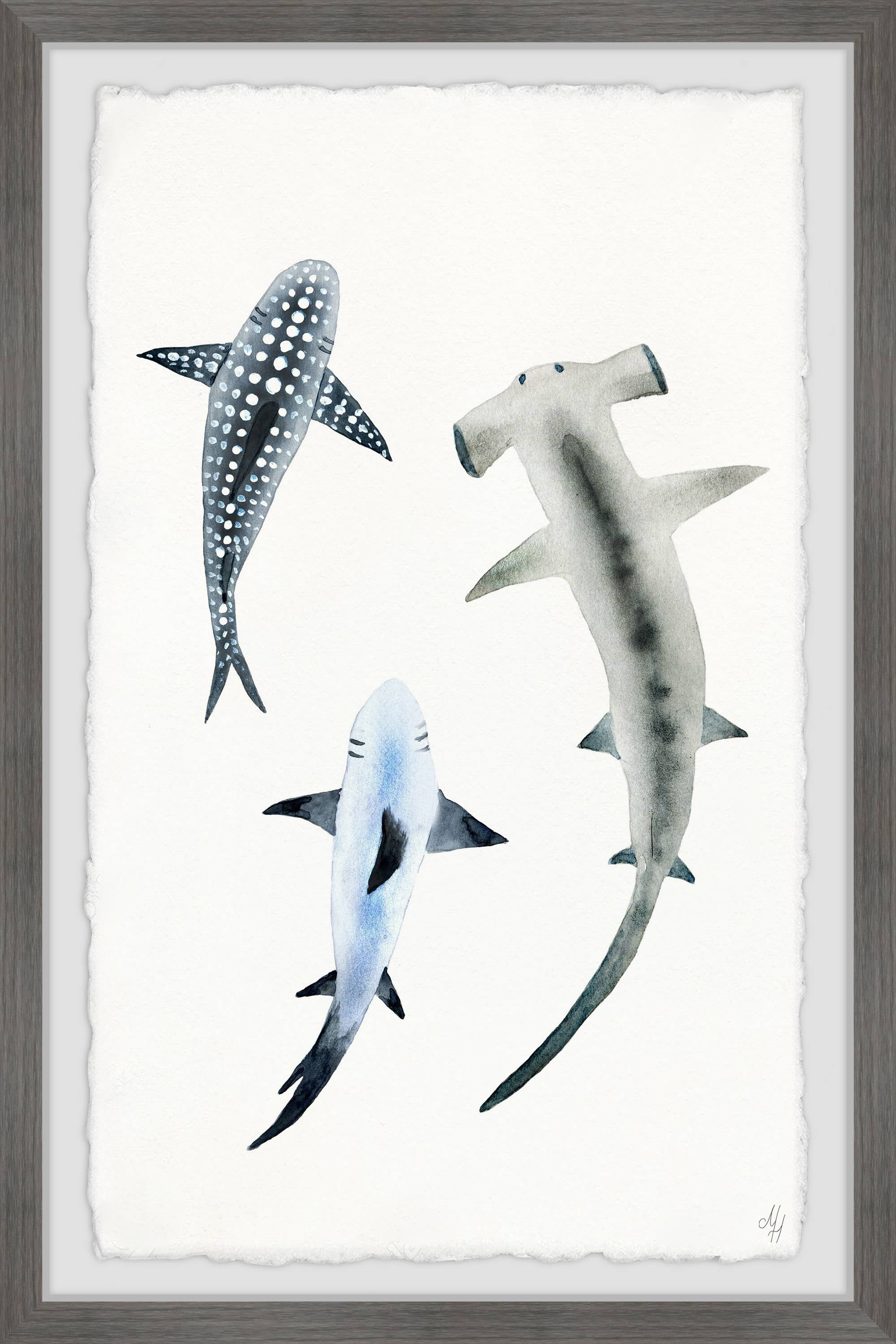 Marmont Hill Shark Trio Framed Wall Art