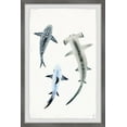 thumbnail image 1 of Marmont Hill Shark Trio Framed Wall Art, 1 of 6