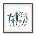 thumbnail image 1 of Marmont Hill Shark Types Framed Painting Print, 1 of 4