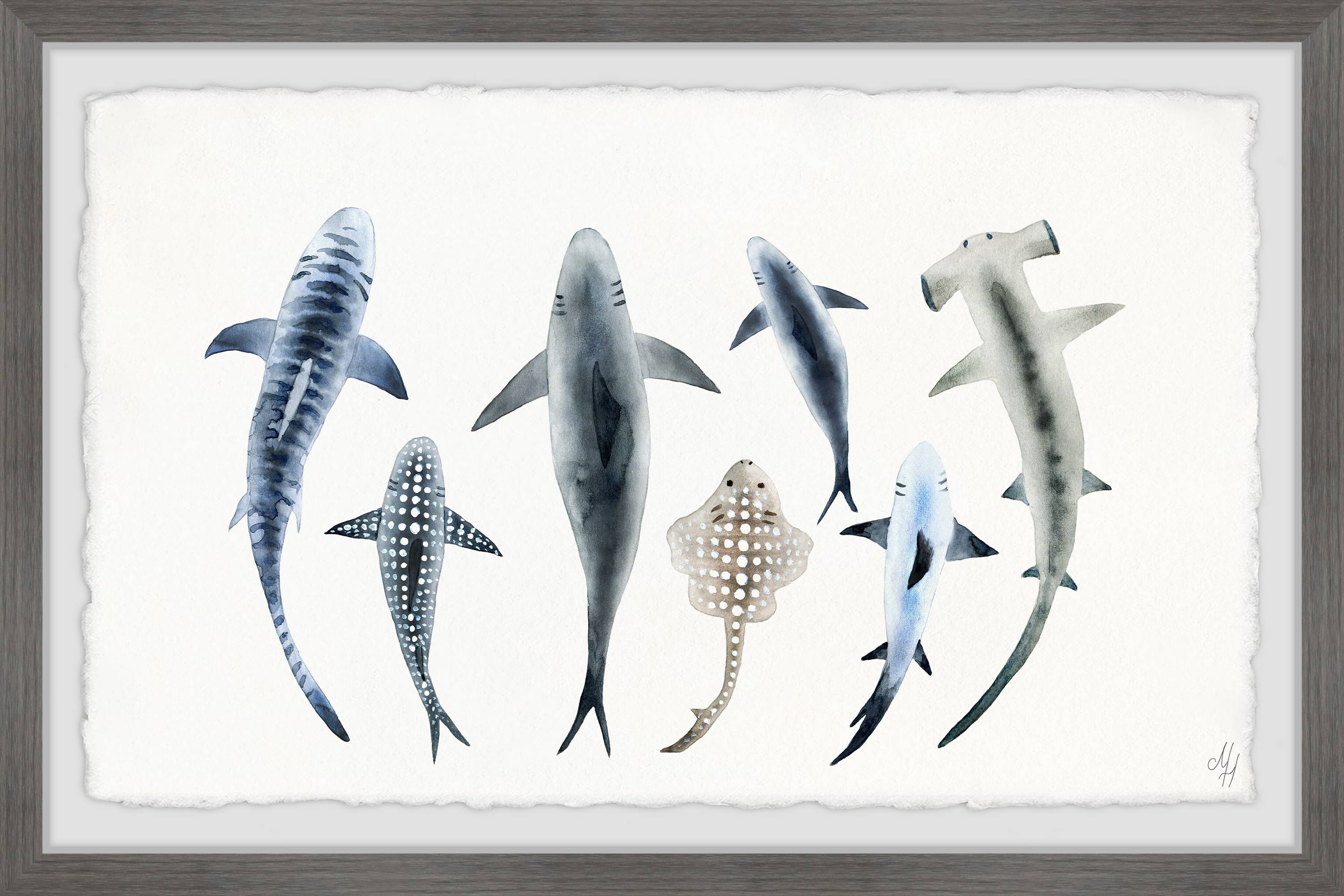 Marmont Hill Shark Types II Framed Wall Art