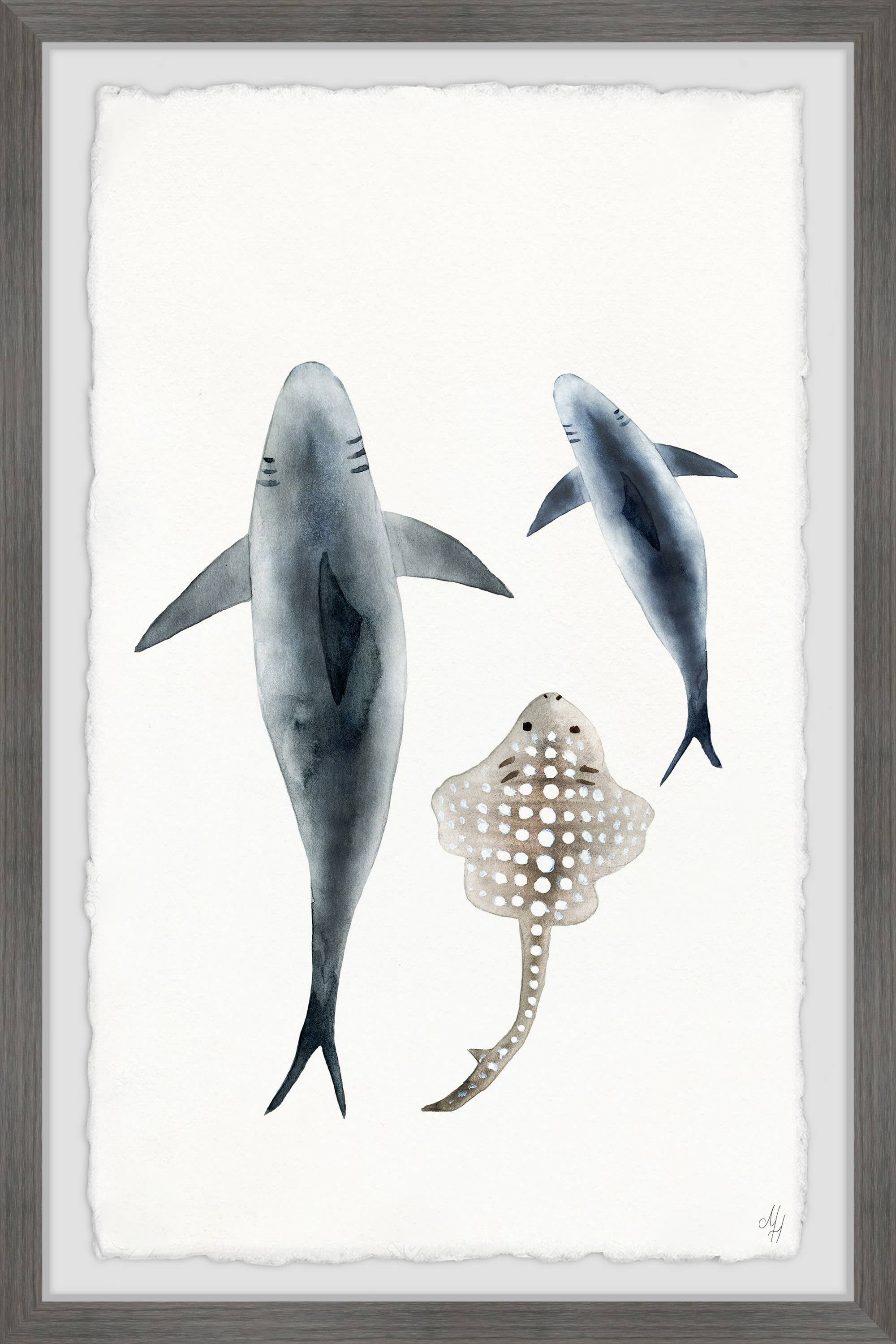 Marmont Hill Sharks And The Ray Framed Wall Art, 20.00" x 1.50"