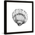 thumbnail image 1 of Marmont Hill "Shell Sketch VI" Framed Painting Print, 1 of 5