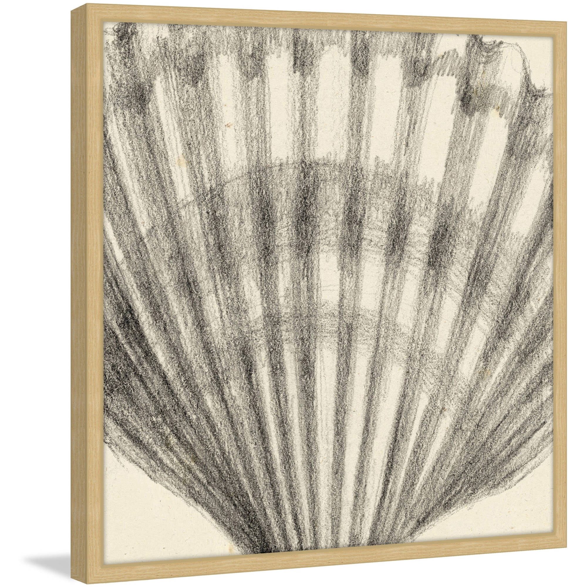 Marmont Hill "Shell Study III" Framed Painting Print