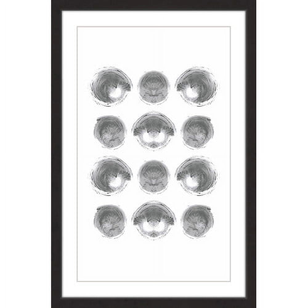 Marmont Hill "Shells" by Bryon White Framed Painting Print