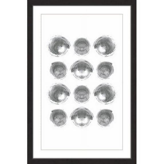 Marmont Hill "Shells" by Bryon White Framed Painting Print