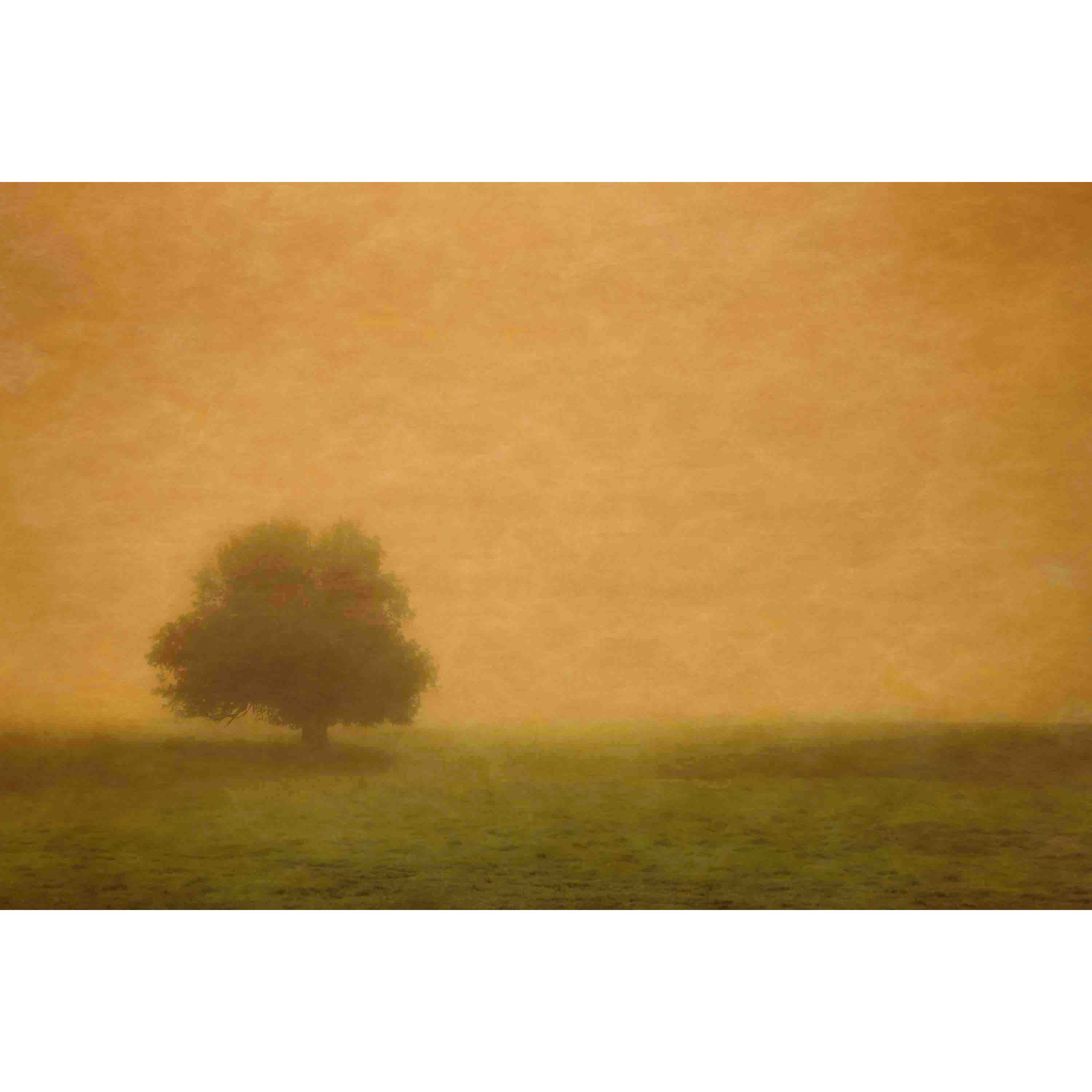 Marmont Hill "Silent and Still" Painting Print on Canvas