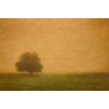 Marmont Hill "Silent and Still" Painting Print on Canvas