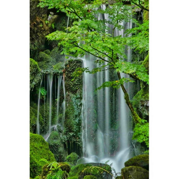 Marmont Hill "Silky Falls" Painting Print on Canvas