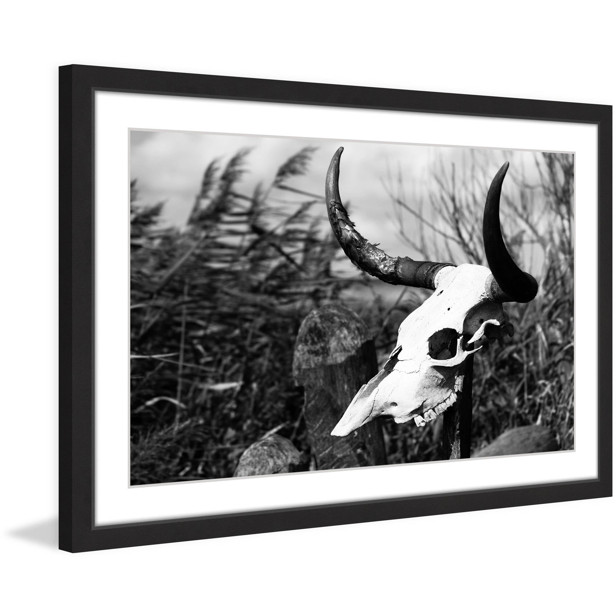 Marmont Hill "Skull in the Grass" Framed Painting Print