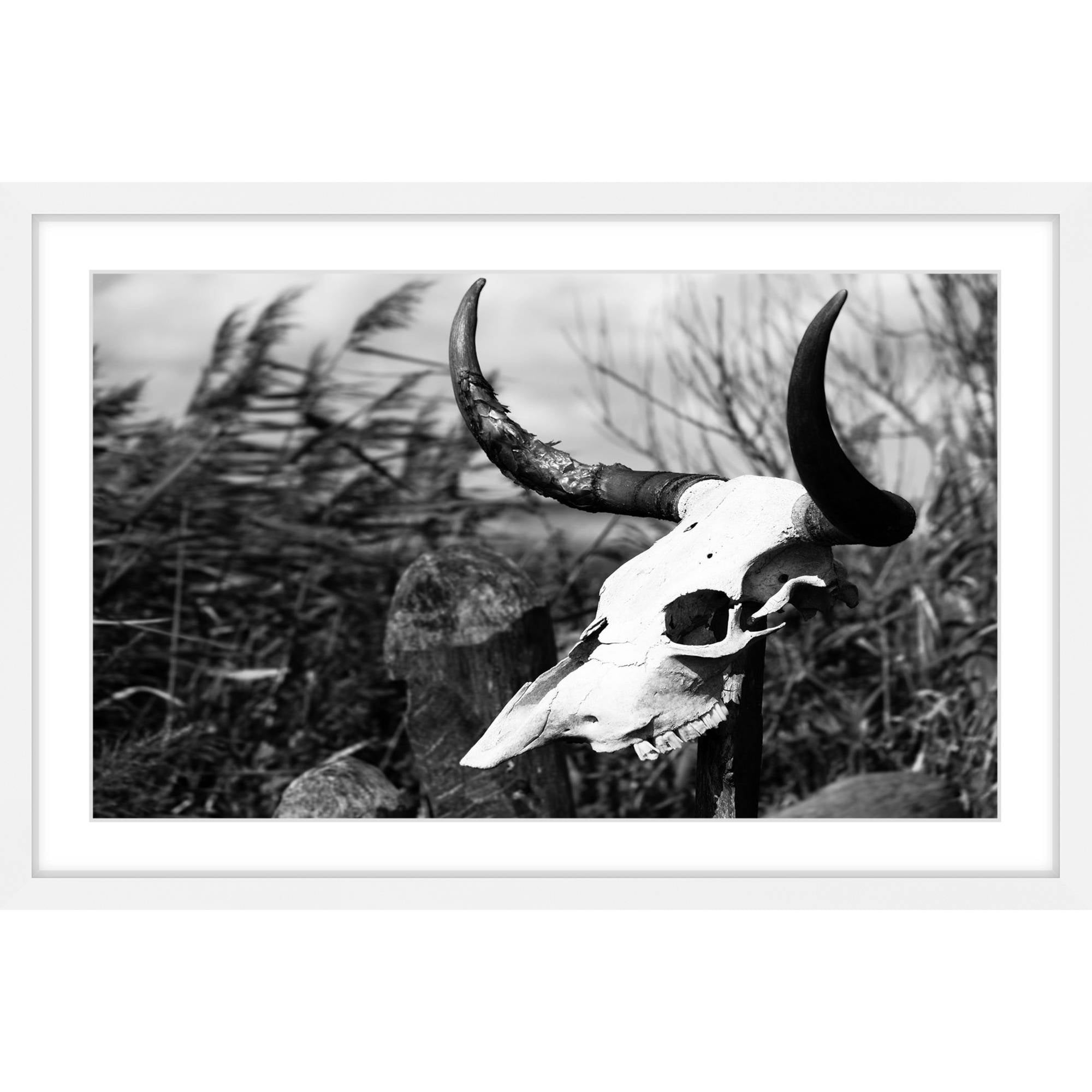 Marmont Hill "Skull in the Grass" Framed Painting Print