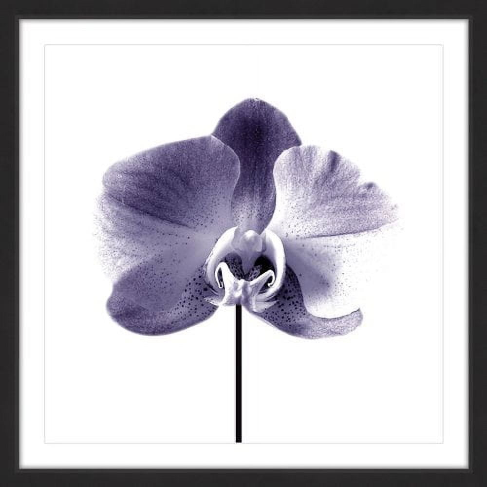 Marmont Hill "Smiling Iris" by Katarina Snygg Framed Painting Print