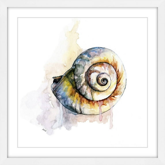 Marmont Hill "Snail Shell" by Rachel Byler Framed Painting Print