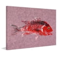 thumbnail image 1 of Marmont Hill "Snapper" by Warren Sellers Painting Print on Wrapped Canvas, 1 of 7