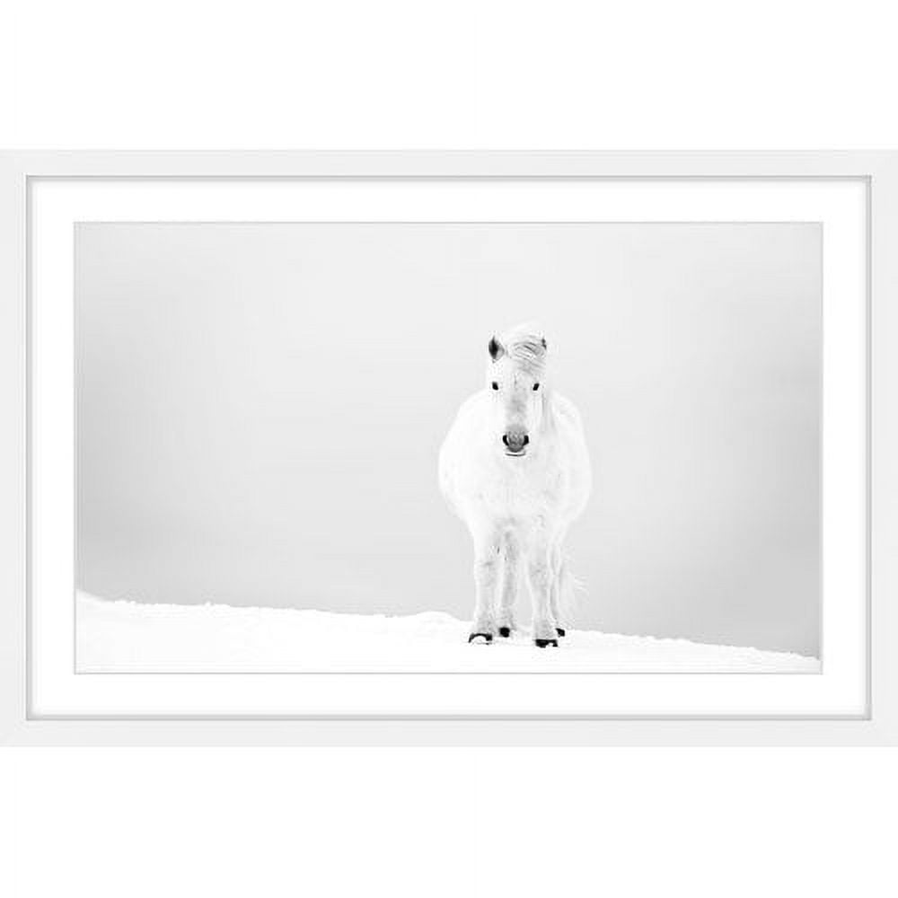 Snowy White Horse Framed Canvas Print, 18" x 12"
