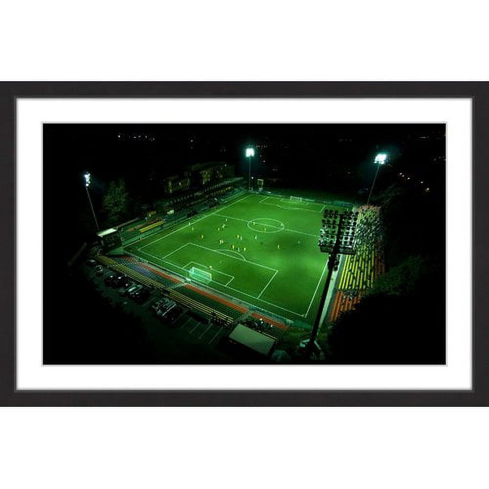 Marmont Hill "Soccer Field" By Karolis Janulis Framed Painting Art Print, 18.0" x 1.5"