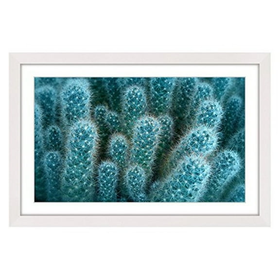 Marmont Hill "Soft Blue Cacti" Framed Painting Print