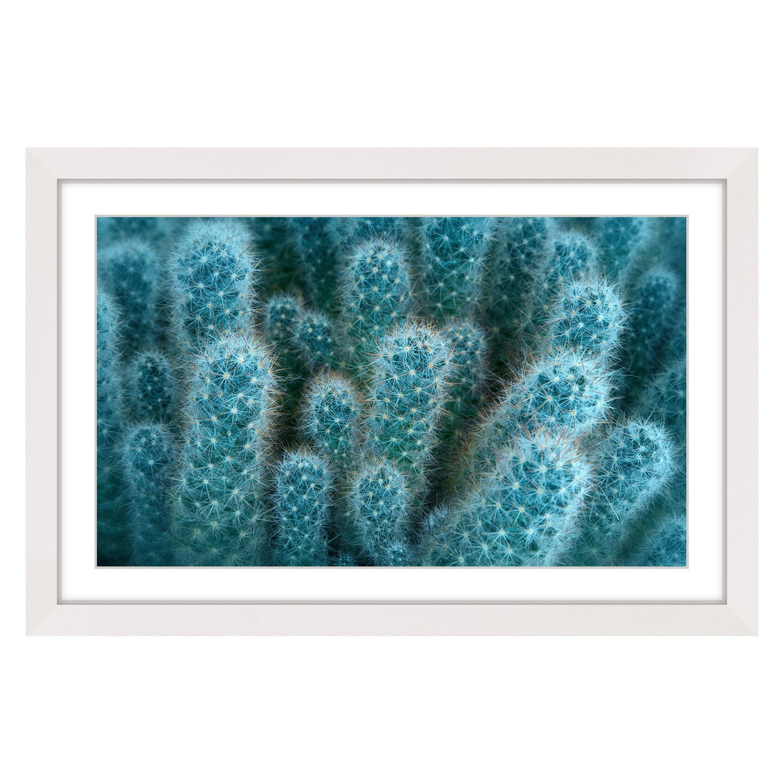 Marmont Hill "Soft Blue Cacti" Framed Painting Print
