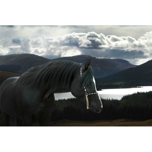 Marmont Hill "Solitude and Wander" by Maggie Dee Painting Print on Canvas