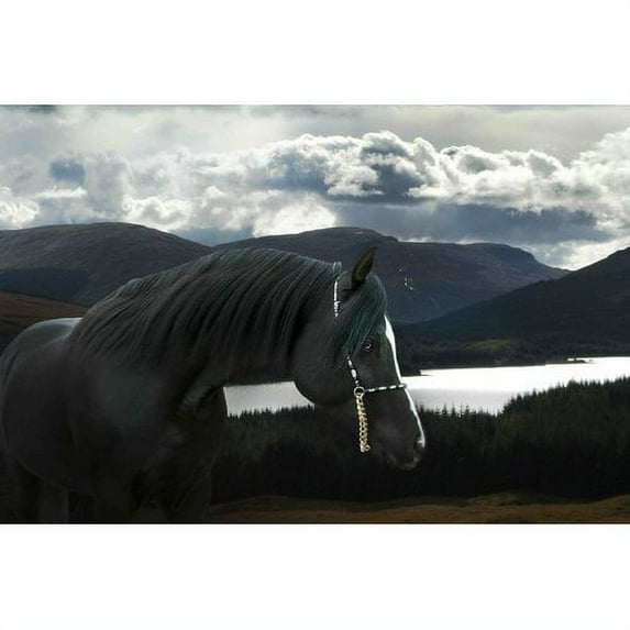 Marmont Hill "Solitude and Wander" by Maggie Dee Painting Print on Canvas