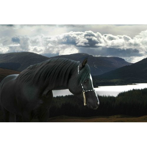 Marmont Hill "Solitude and Wander" by Maggie Dee Painting Print on Canvas