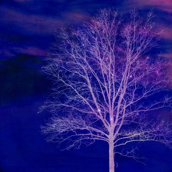 Marmont Hill "Sparkle" by Robert Dickinson Painting Print on Canvas