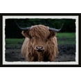 thumbnail image 1 of Marmont Hill Staring Bull Framed Wall Art, 12" x 18", 1 of 6