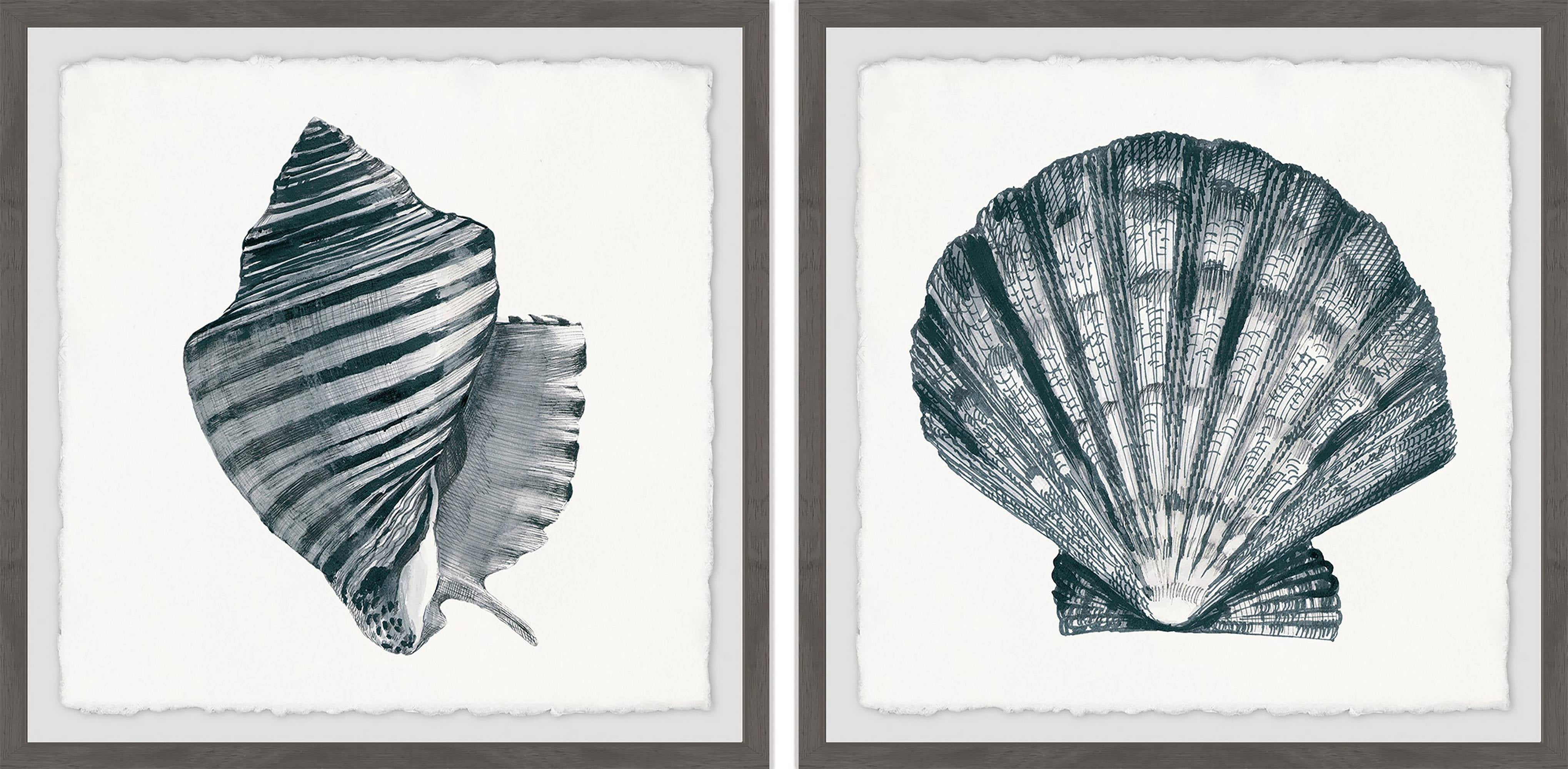 Marmont Hill Striped Queen Conch II Diptych