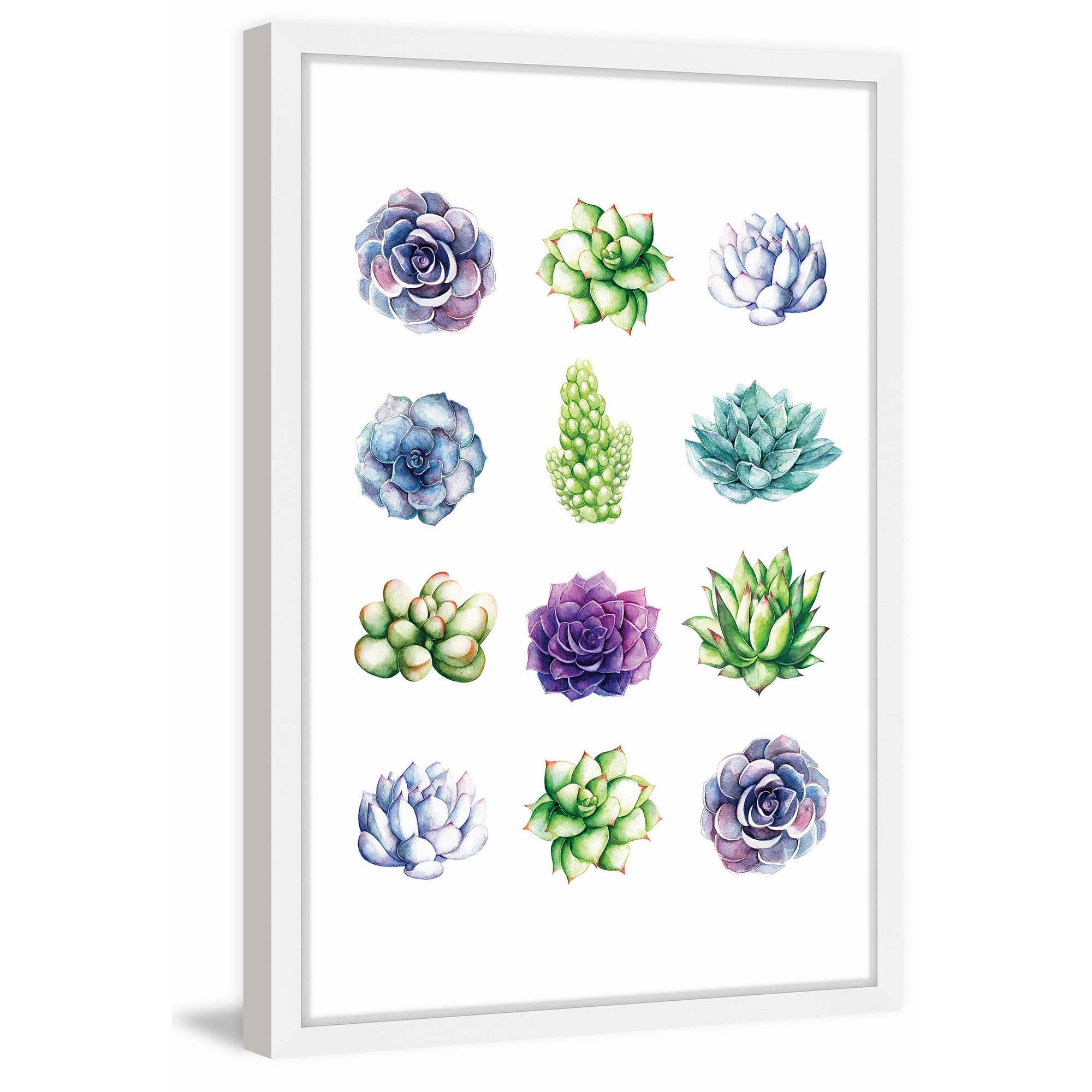 Marmont Hill "Succulent Chart" by Shayna Pitch Framed Painting Print