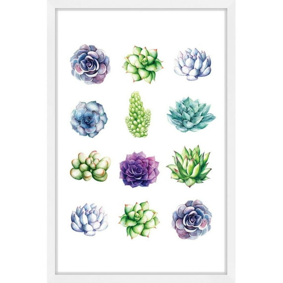 Marmont Hill "Succulent Chart" by Shayna Pitch Framed Painting Print