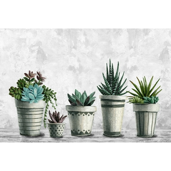 Marmont Hill Succulents Galore Canvas Wall Art, 8" x 12"
